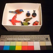 Cover image of Miniature Bird